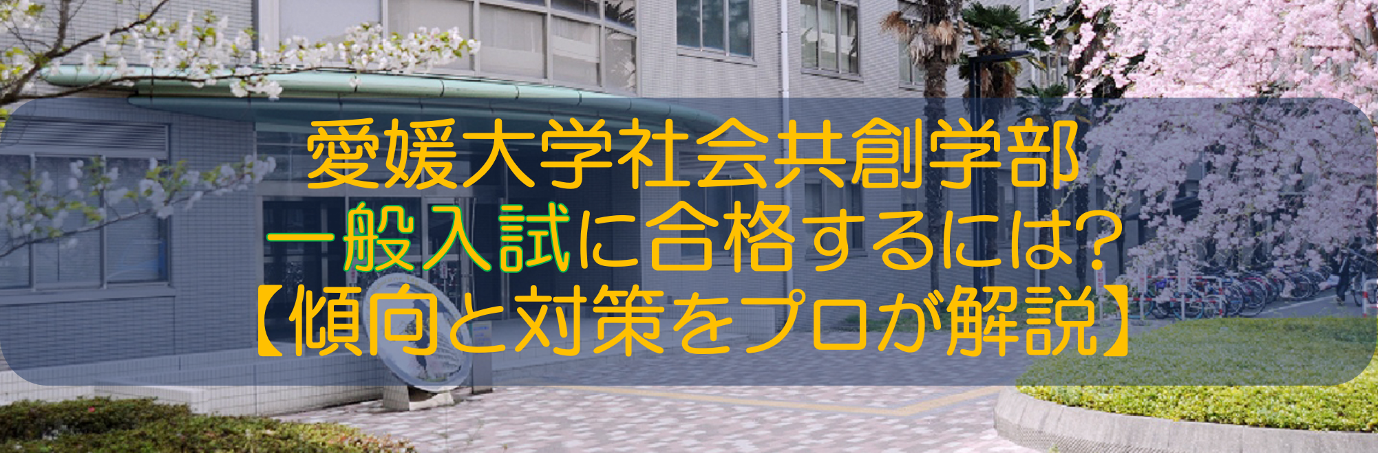 愛媛大学社会共創学部一般入試に合格するには 傾向と対策をプロが解説 愛大研 公式ブログ