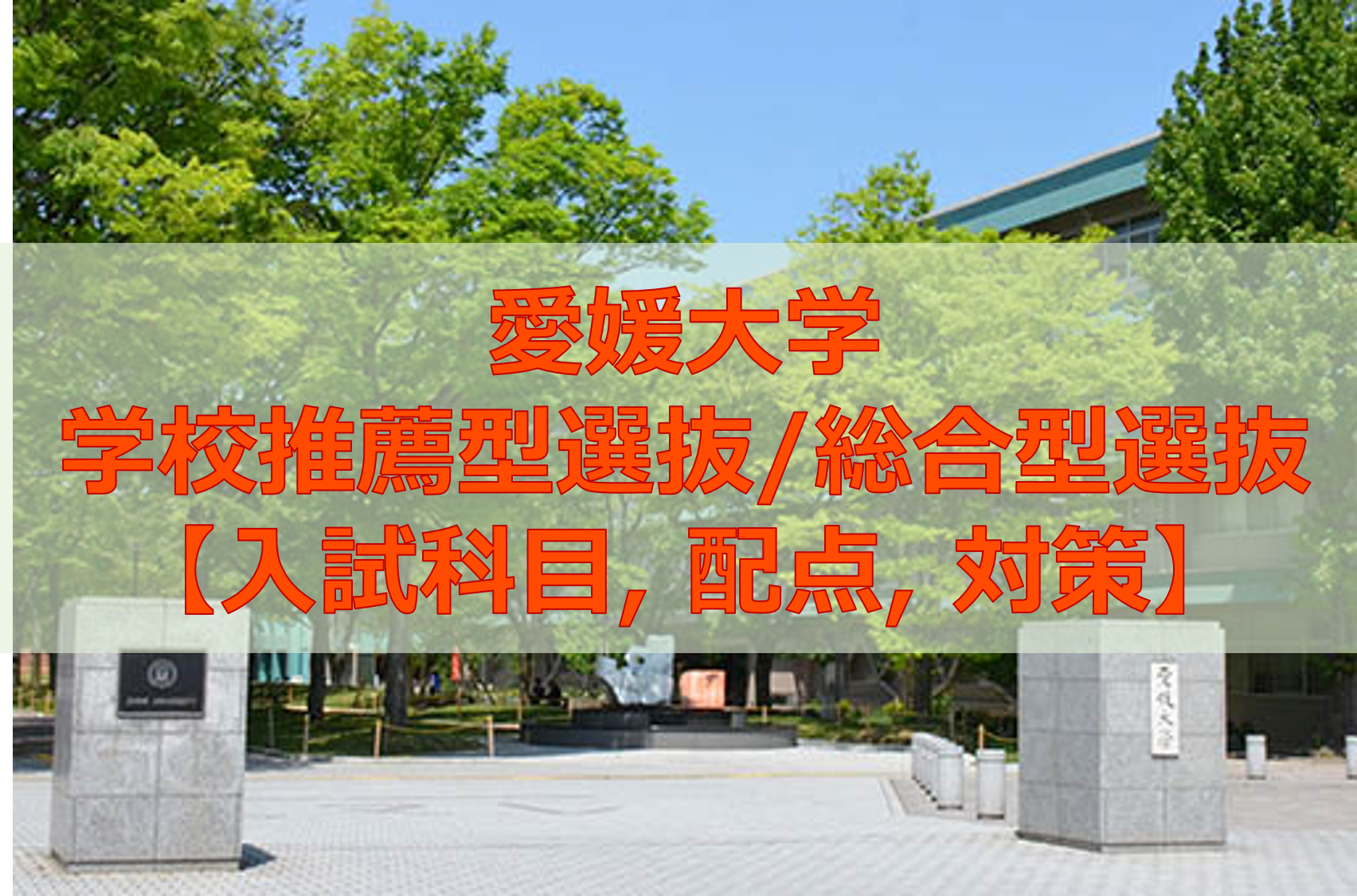 推薦 総合型選抜で愛媛大学を目指すなら 入試科目 配点 対策を解説 愛大研 公式ブログ