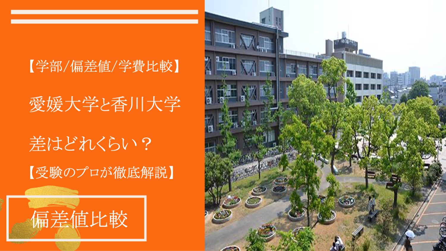 【学部/偏差値/学費】愛媛大学と香川大学を受験のプロが比較