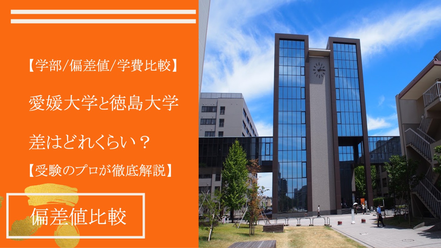 【学部/偏差値/学費】愛媛大学と徳島大学を受験のプロが比較