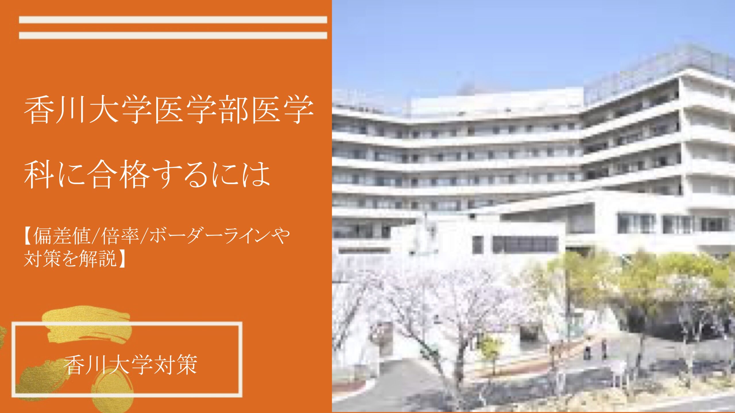 香川大学医学部医学科