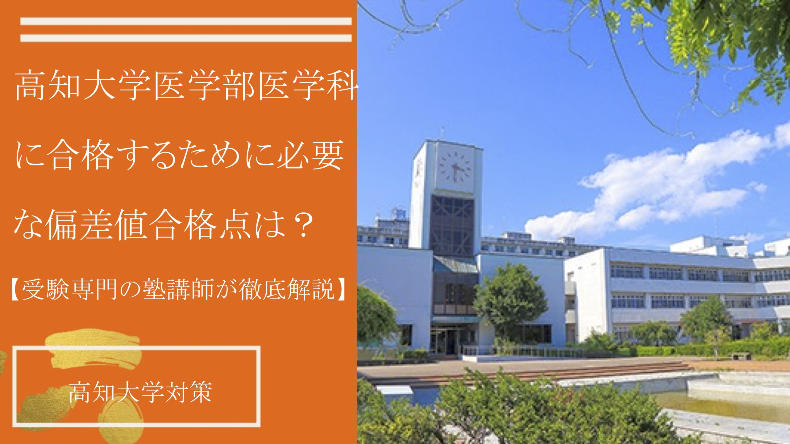高知大学医学部医学科