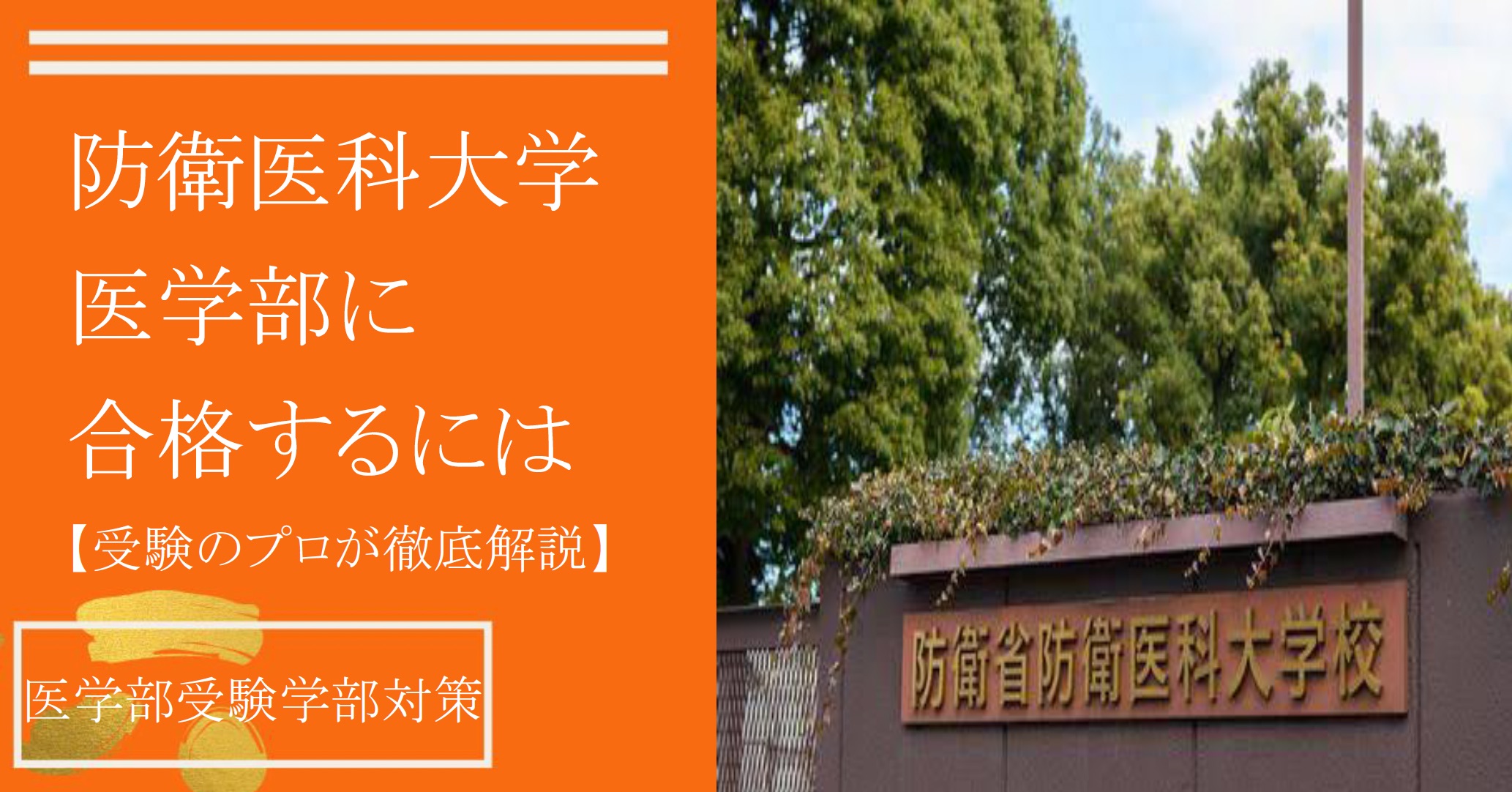 プロ講師が解説】防衛医科大学医学科合格に向けた勉強法・参考書ルート 